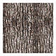  Carta alluminio - ROVERE CHIARO CM60X60 s3