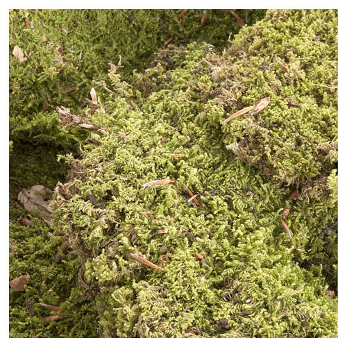 Kit completo gruta presépio faça você mesmo 4