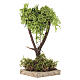 Baum mit Holzfuß und Krone aus Naturflechte, 14 cm s1