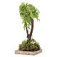 Baum mit Holzfuß und Krone aus Naturflechte, 14 cm s2
