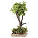 Baum mit Holzfuß und Krone aus Naturflechte, 14 cm s3