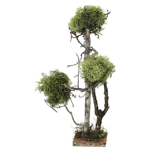 Árbol madera y líquen h 26 cm belén 10-12 cm 3