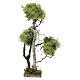 Árbol madera y líquen h 26 cm belén 10-12 cm s1