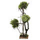 Árbol madera y líquen h 26 cm belén 10-12 cm s3