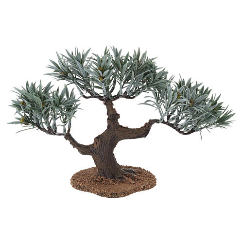 Drzewko oliwne 18 cm do szopki 4-6 cm 4