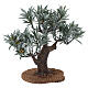 Drzewko oliwne 18 cm do szopki 4-6 cm s3