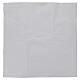 Carta plasmabile effetto ghiaccio per presepe 60x60 cm s1