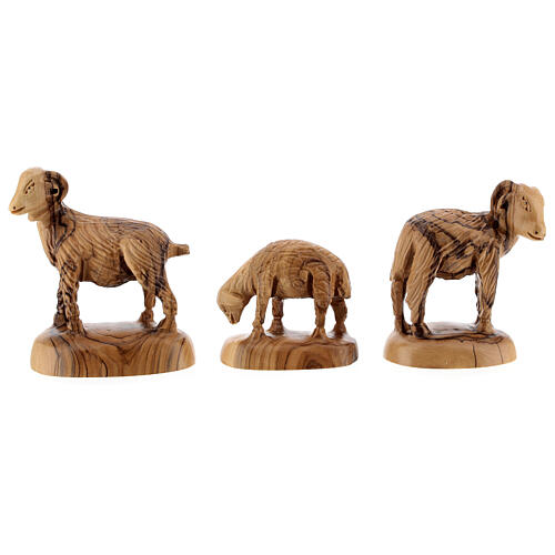 Stable with Nativity Scene 14 figurines of 20 cm average height with music box Palestine olive wood 45x65x35 cm 11