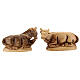 Stable with Nativity Scene 14 figurines of 20 cm average height with music box Palestine olive wood 45x65x35 cm s9