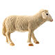 Schaf aus Holz für Krippe von 14 cm, Grödnertal s2