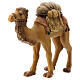 Camelo selado para presépio madeira Val Gardena estilizado com figuras altura média 14 cm s3