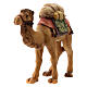 Camelo com cameleiro para presépio madeira Val Gardena estilizado com figuras altura média 14 cm s3