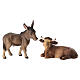Boi e burro para presépio madeira Val Gardena Raffaello com figuras altura média 15 cm s1