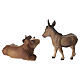 Boi e burro para presépio madeira Val Gardena Raffaello com figuras altura média 15 cm s6