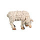 Grazing sheep for "Raphael" Nativity Scene of 15 cm Val Gardena wood s1