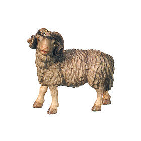 Montone presepe Raffaello legno Valgardena 15 cm