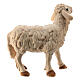 Standing sheep looking left Raffaello Nativity scene 12 cm Valgardena s2