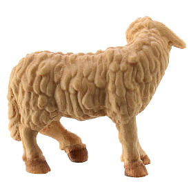 Mouton debout regard à gauche crèche Raphaël bois Val Gardena 12 cm