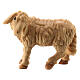 Standing sheep for 12 cm "Raphael" Nativity Scene from Val Gardena s1