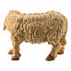 Mouton debout tête à droite crèche Raphaël 12 cm bois Val Gardena s2