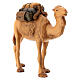 Camello belén Rafael 12 cm madera Val Gardena s4