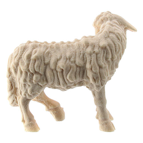 Mouton debout crèche 10 cm Raphaël bois naturel Val Gardena 3