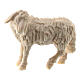 Mouton debout crèche 10 cm Raphaël bois naturel Val Gardena s1