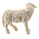 Mouton debout crèche 10 cm Raphaël bois naturel Val Gardena s2