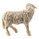 Mouton debout crèche 10 cm Raphaël bois naturel Val Gardena s3