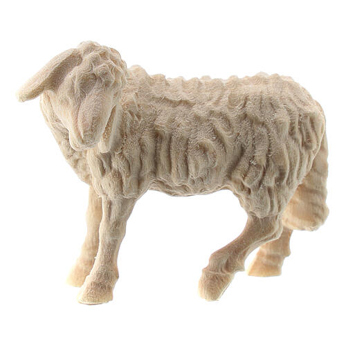 Young sheep standing "Raphaël" Nativity Scene 10 cm natural wood Val Gardena 1