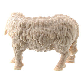 Owca z głową skierowaną w prawo, 10 cm, Val Gardena