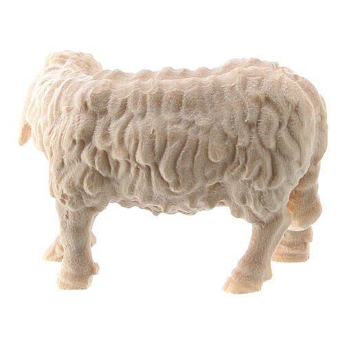 Owca z głową skierowaną w prawo, 10 cm, Val Gardena 2