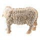 Owca z głową skierowaną w prawo, 10 cm, Val Gardena s2