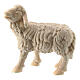 Stehendes Schaf für Raffaello-Krippe Grödnertal, 10 cm s1