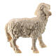 Ovelha de pé madeira natural para presépio Val Gardena modelo Raffaello com figuras altura média 10 cm s2