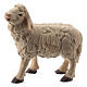 Owca stojąca do szopki Matteo 12 cm, Val Gardena s1