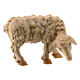 Mouton qui broute crèche Mathieu 12 cm Val Gardena s1