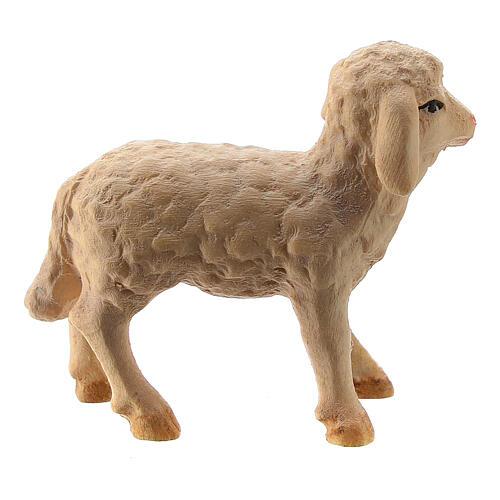 Baranek do szopki Matteo 12 cm, Val Gardena 2