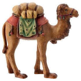 Harnessed camel Matteo Nativity scene 12 cm wood Val Gardena