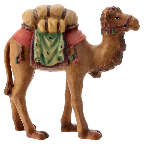 Harnessed camel Matteo Nativity scene 12 cm wood Val Gardena 2