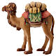 Harnessed camel Matteo Nativity scene 12 cm wood Val Gardena s1