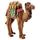 Loaded camel for 12 cm "Matthew" Nativity Scene Val Gardena wood s4