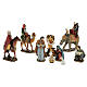 Nativity scene set 11 characters in resin 20 cm s1