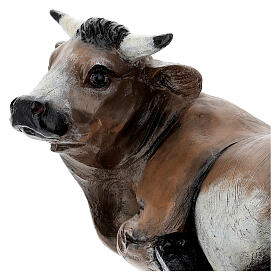 Ox, fibreglass statue with crystal eyes, painted for outdoor, Landi's Nativity Scene of 65 cm
