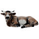 Ox, fibreglass statue with crystal eyes, painted for outdoor, Landi's Nativity Scene of 65 cm s1