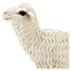 Standing sheep, fibreglass statue painted for outdoor, Landi's Nativity Scene of 65 cm s2