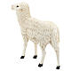 Standing sheep, fibreglass statue painted for outdoor, Landi's Nativity Scene of 65 cm s5
