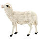 Estatua oveja de pie fibra de vidrio exterior belén Landro Landi 65 cm s1