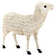 Estatua oveja de pie fibra de vidrio exterior belén Landro Landi 65 cm s4