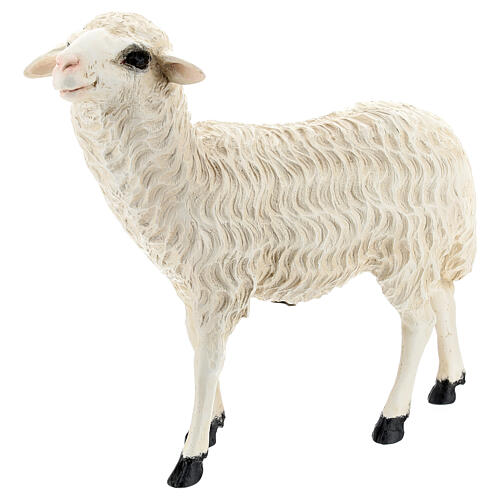 Figura owca stojąca włókno szklane, na zewnątrz, szopka Lando Landi 65 cm 3